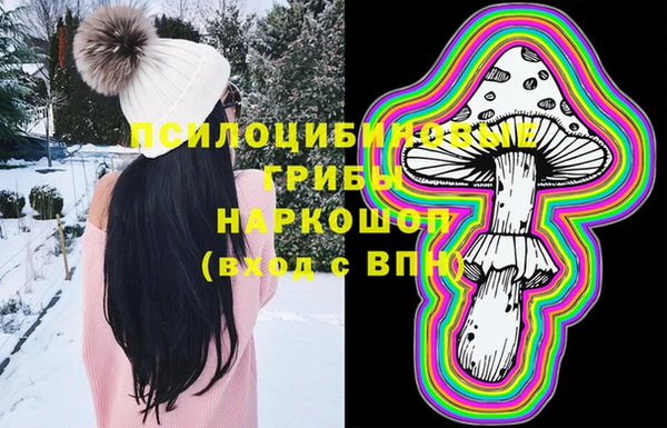 мдпв Киреевск