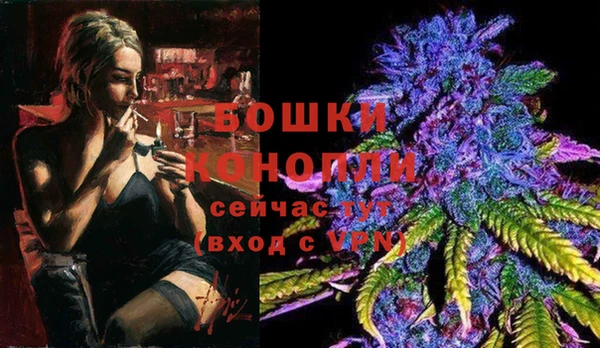 стаф Сафоново