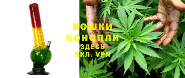 стаф Киселёвск