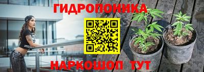 apvp Ирбит