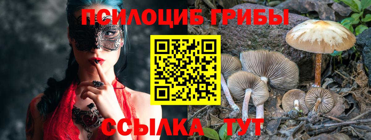 Галлюциногенные грибы мицелий  Вход с VPN  Славгород  Псилоцибиновые грибы Psilocybe 