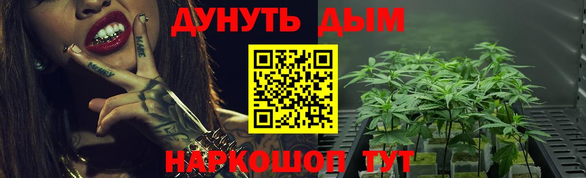 МАРИХУАНА SATIVA & INDICA Славгород